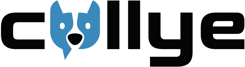 Logo Collye CRM per aziende commerciali